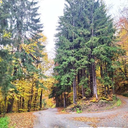 Apartments And Rooms Pri Baslju Cerkno Zewnętrze zdjęcie