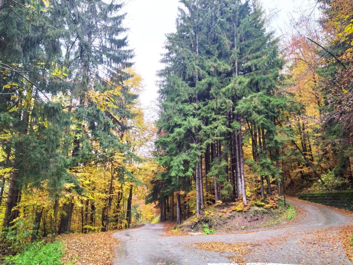Apartments And Rooms Pri Baslju Cerkno Zewnętrze zdjęcie